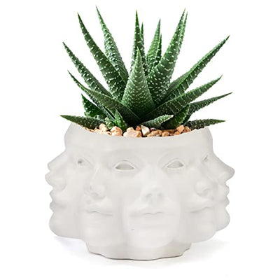 Faces Vase, Ceramic Multifaced Detailed Vase Ceramic Planter Pot by Gute, 6" Flower Plant, Carved Human Face Textured Classic - Modern Decorative Centerpiece Table Living Room Office