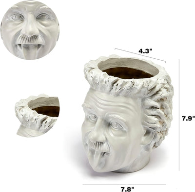 Albert Einstein Bust Plant Planter Pot - Large 8" H Polyresin Realistic Human Face Pot Indoor & Outdoor Plants & Flowers - Bowl & Serving Bowl, Hand Crafted Original Sculpture, Gifts for Her, Him