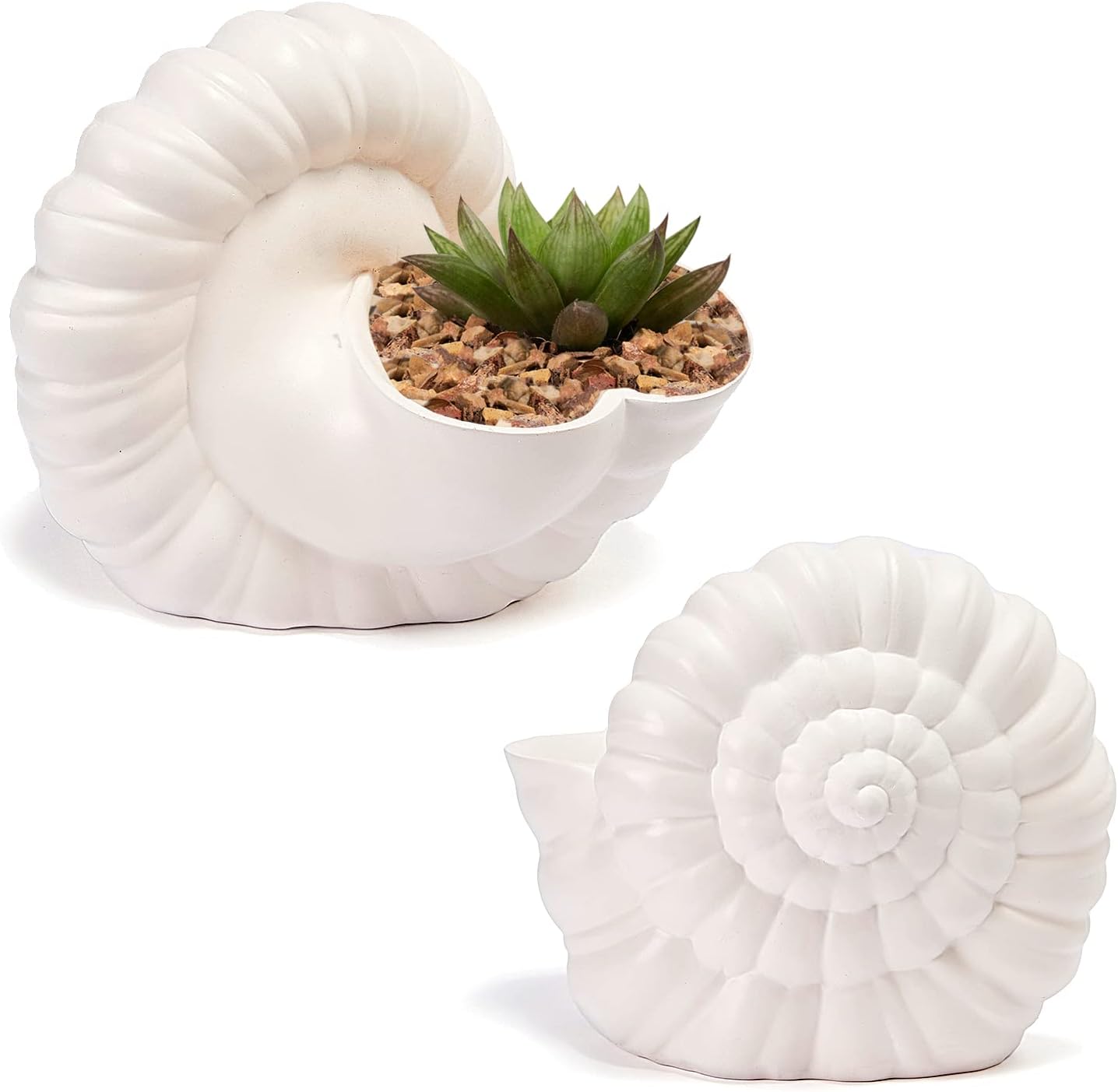 Seashell Succulent Planter Pot