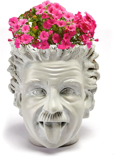 Albert Einstein Bust Plant Planter Pot - Large 8" H Polyresin Realistic Human Face Pot Indoor & Outdoor Plants & Flowers - Bowl & Serving Bowl, Hand Crafted Original Sculpture, Gifts for Her, Him