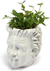 Albert Einstein Bust Plant Planter Pot - Large 8" H Polyresin Realistic Human Face Pot Indoor & Outdoor Plants & Flowers - Bowl & Serving Bowl, Hand Crafted Original Sculpture, Gifts for Her, Him