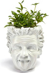 Albert Einstein Bust Plant Planter Pot - Large 8" H Polyresin Realistic Human Face Pot Indoor & Outdoor Plants & Flowers - Bowl & Serving Bowl, Hand Crafted Original Sculpture, Gifts for Her, Him