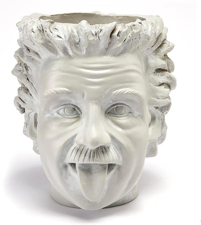 Albert Einstein Bust Plant Planter Pot - Large 8" H Polyresin Realistic Human Face Pot Indoor & Outdoor Plants & Flowers - Bowl & Serving Bowl, Hand Crafted Original Sculpture, Gifts for Her, Him