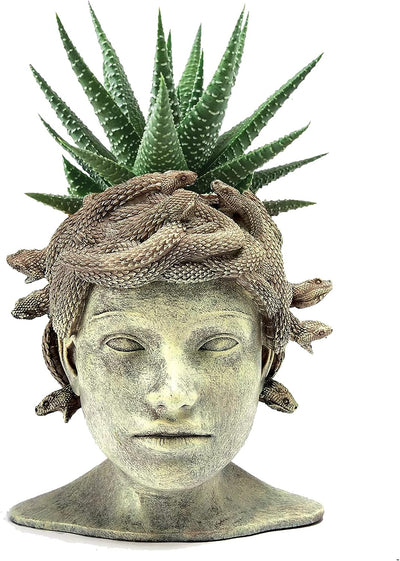 Medusa Head Planter, Large Solid Stone Face Planter Large Garden Decor Statue Flower & Planter Pot Waterproof Outdoor Garden Flower Pot Art Hand Crafted Original Sculpture - Unique Gifts