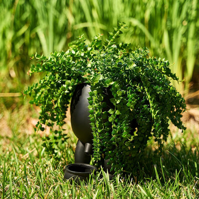 Novelty Peeing Planter Pot - Pour Water and Watch It Come Out The Other End! - Funny Gift Idea, Black Flower, Shrub, Succulent, Greenery Pot - 7" H Spooky Indoor Outdoor Plants & Server Decor (Black)