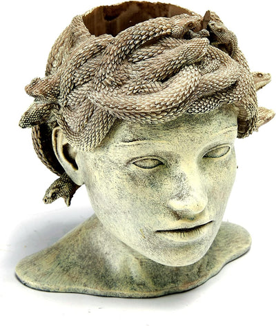 Medusa Head Planter, Large Solid Stone Face Planter Large Garden Decor Statue Flower & Planter Pot Waterproof Outdoor Garden Flower Pot Art Hand Crafted Original Sculpture - Unique Gifts