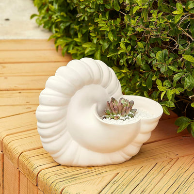 Seashell Succulent Planter Pot, Bowl & Vase, Handmade Conch Detailed White Planter, Large 9.5" Flower Plant Vase, Carved Beach Shell Decor - & Indoor Plants, Gift for Mom