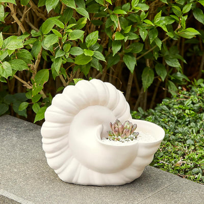 Seashell Succulent Planter Pot, Bowl & Vase, Handmade Conch Detailed White Planter, Large 9.5" Flower Plant Vase, Carved Beach Shell Decor - & Indoor Plants, Gift for Mom