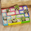 Tetris Succulent Pots Planter Pots, Set of 6 Different Shaped Pieces Puzzle Jigsaw Cute Planters - Large Set, Housewarming Gift, Unique Collection, Succulent and Flower Pots